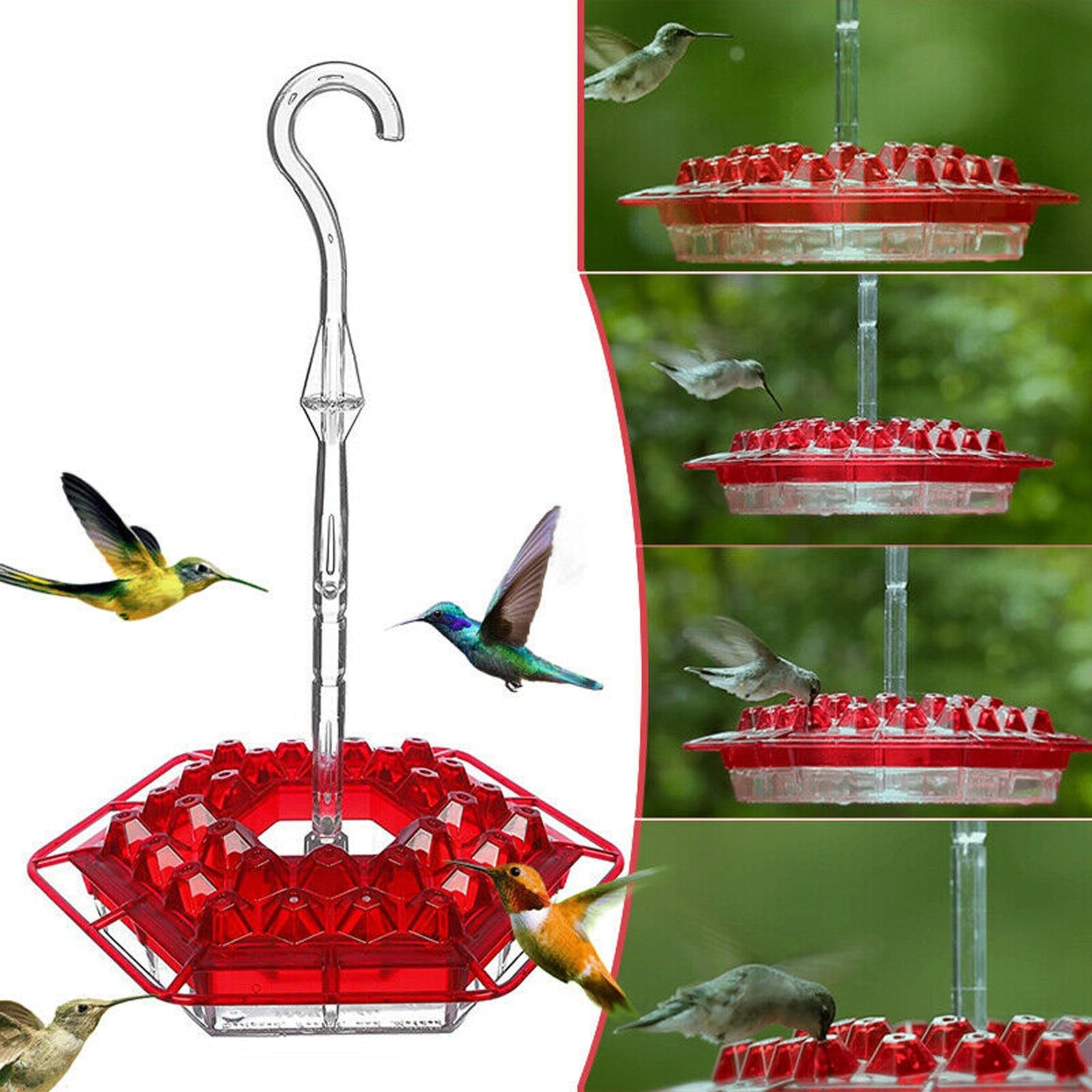 Transform Your Garden with the New Flower Hexagonal Bird Feeder