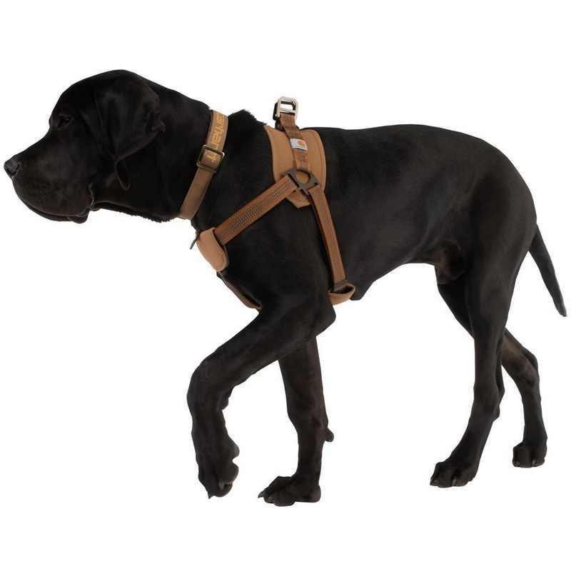 Tooling Chest Strap Dog Safety Training Belt