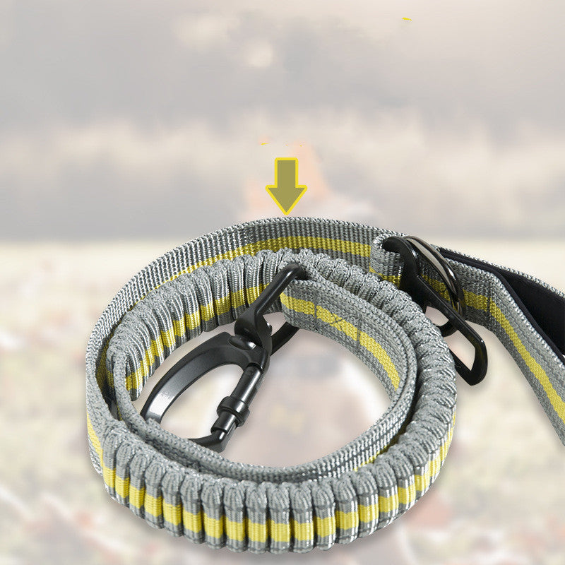 Fluorescent Pet Explosion-proof Punch Elastic