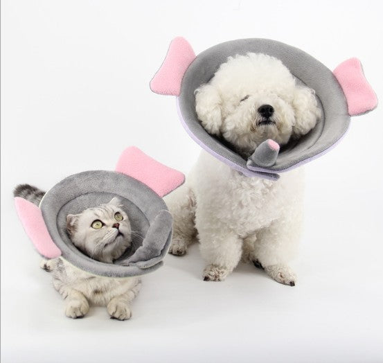 Pet Protection Collar Collar Flower