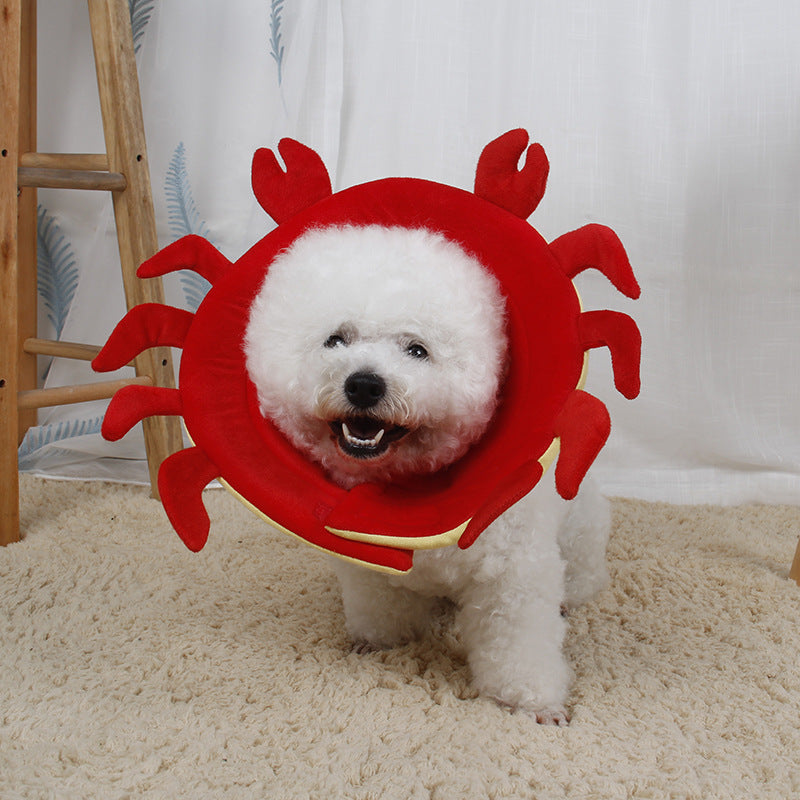 Pet Protection Collar Collar Flower
