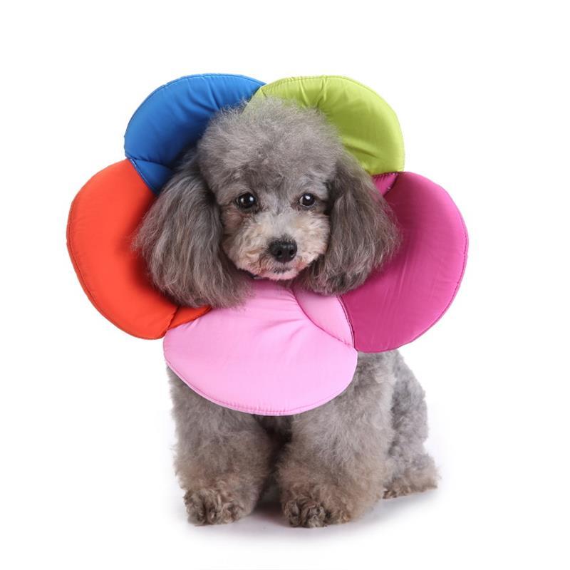 Pet Protection Collar Collar Flower