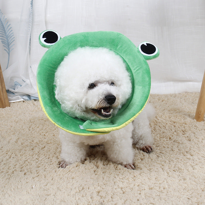 Pet Protection Collar Collar Flower