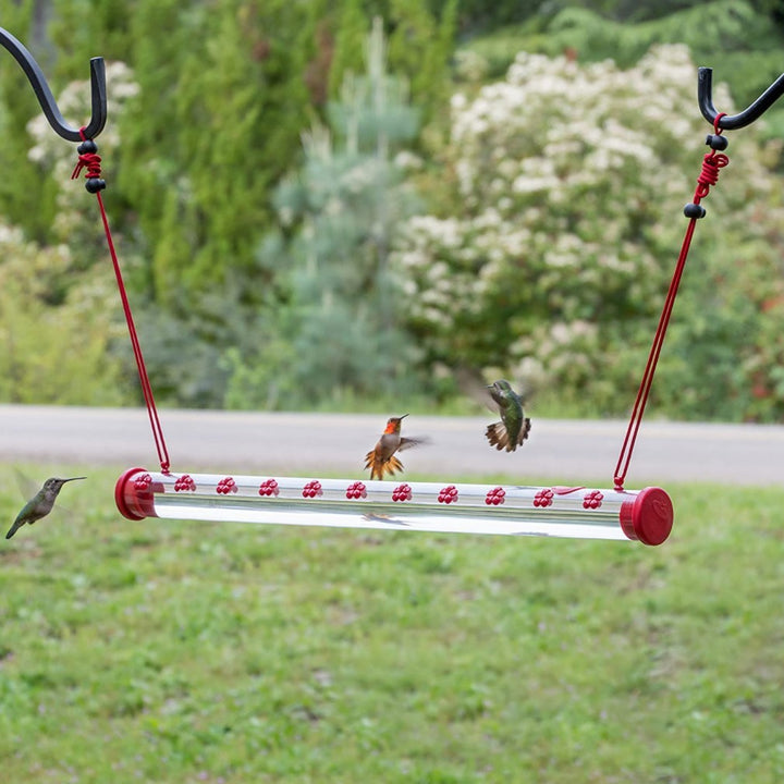 Hanging Long Tube With Flowers