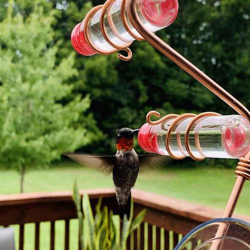 Charming Hummingbird Feeder for Your Garden