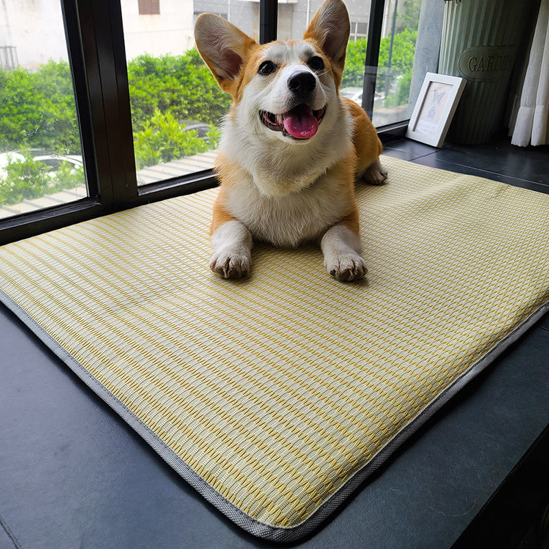 Dog Mat Sleeping With Pet Mat Summer Mat Anti