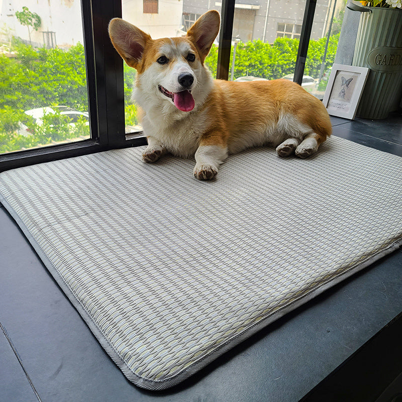 Dog Mat Sleeping With Pet Mat Summer Mat Anti