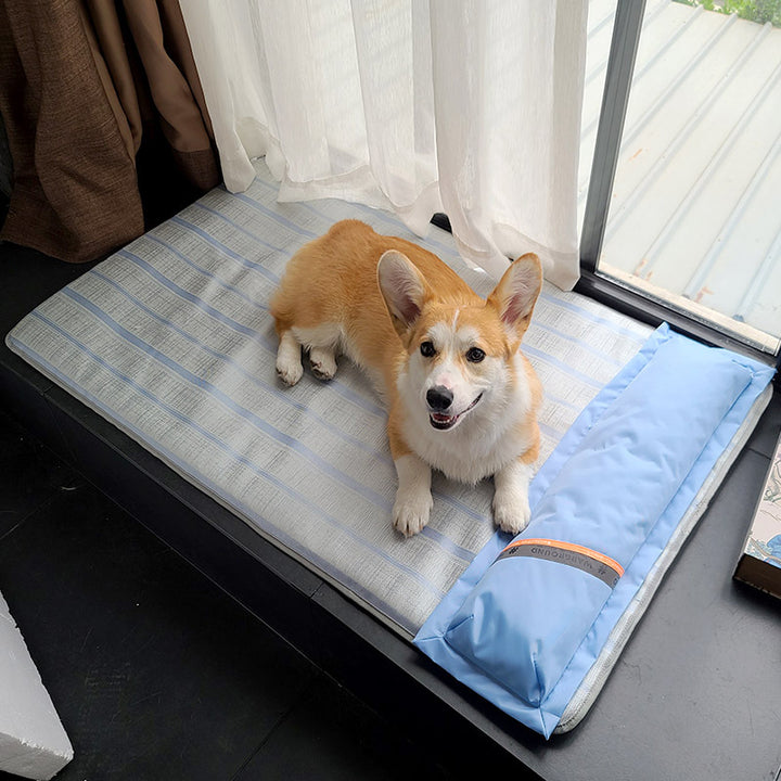 Dog Mat Sleeping With Pet Mat Summer Mat Anti