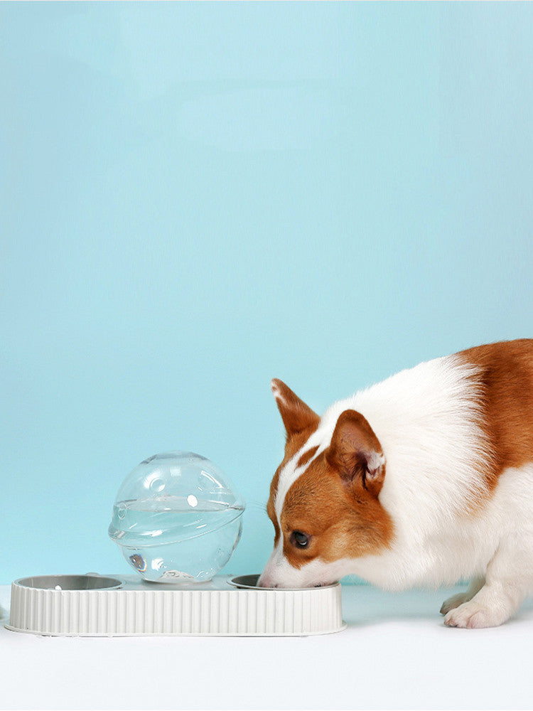 Plastic Pet Feeding Drinkers Cat Dog Automatic