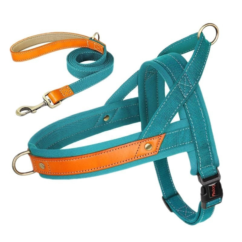 Dog's Straps Dog Breast Collar Hand Holding