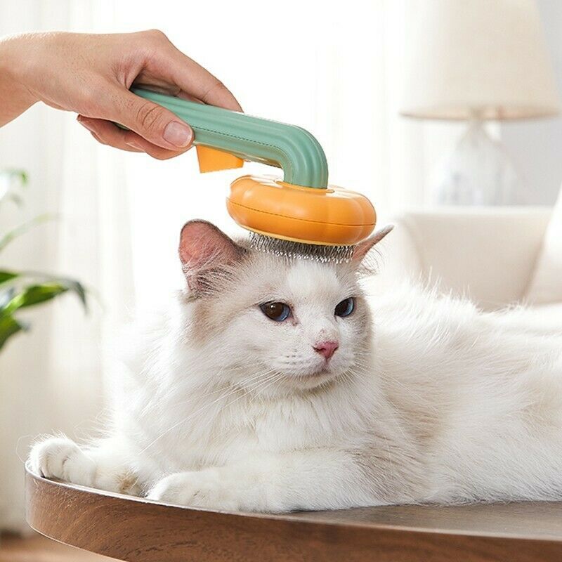 Pet Pumpkin Brush, Pet Grooming