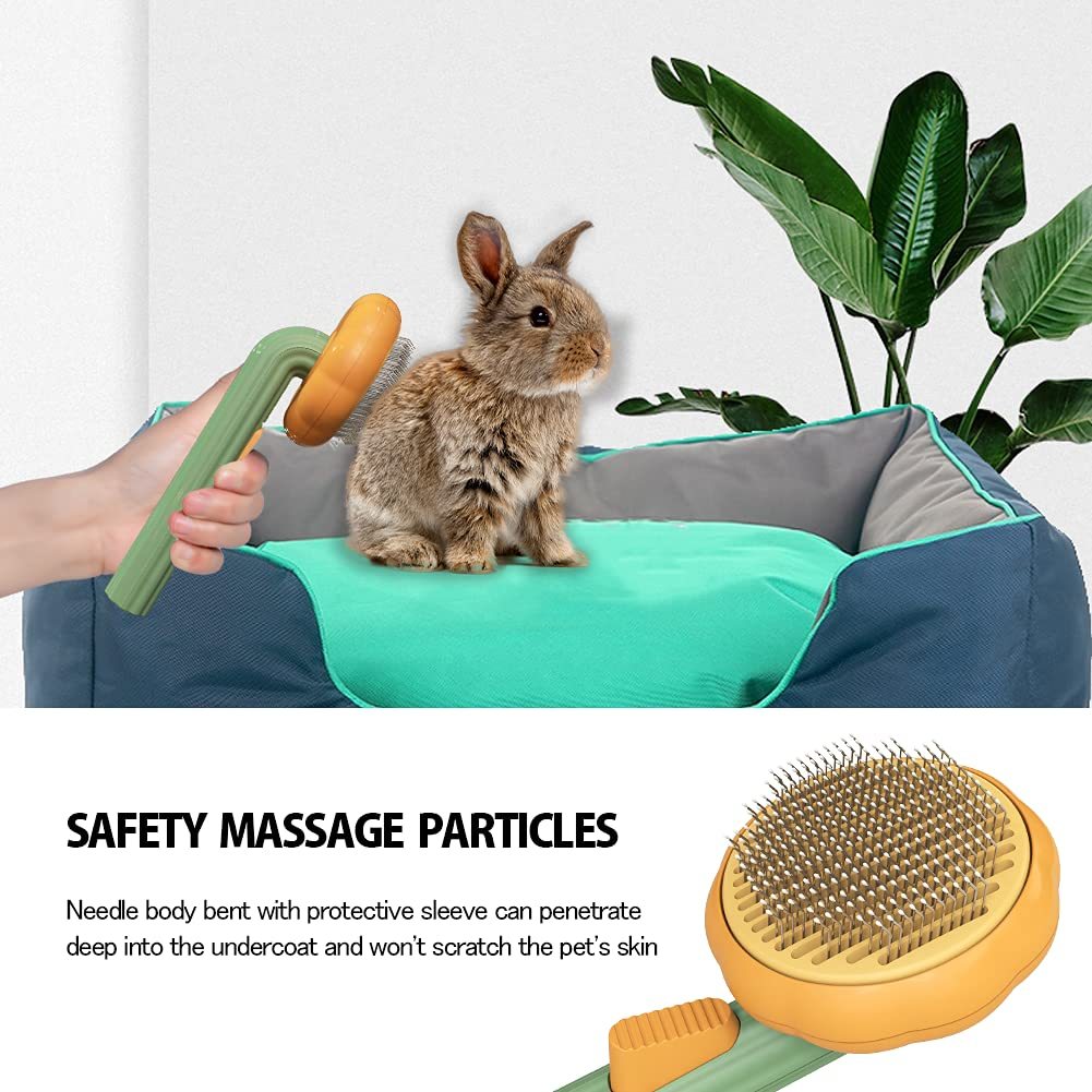 Pet Pumpkin Brush, Pet Grooming