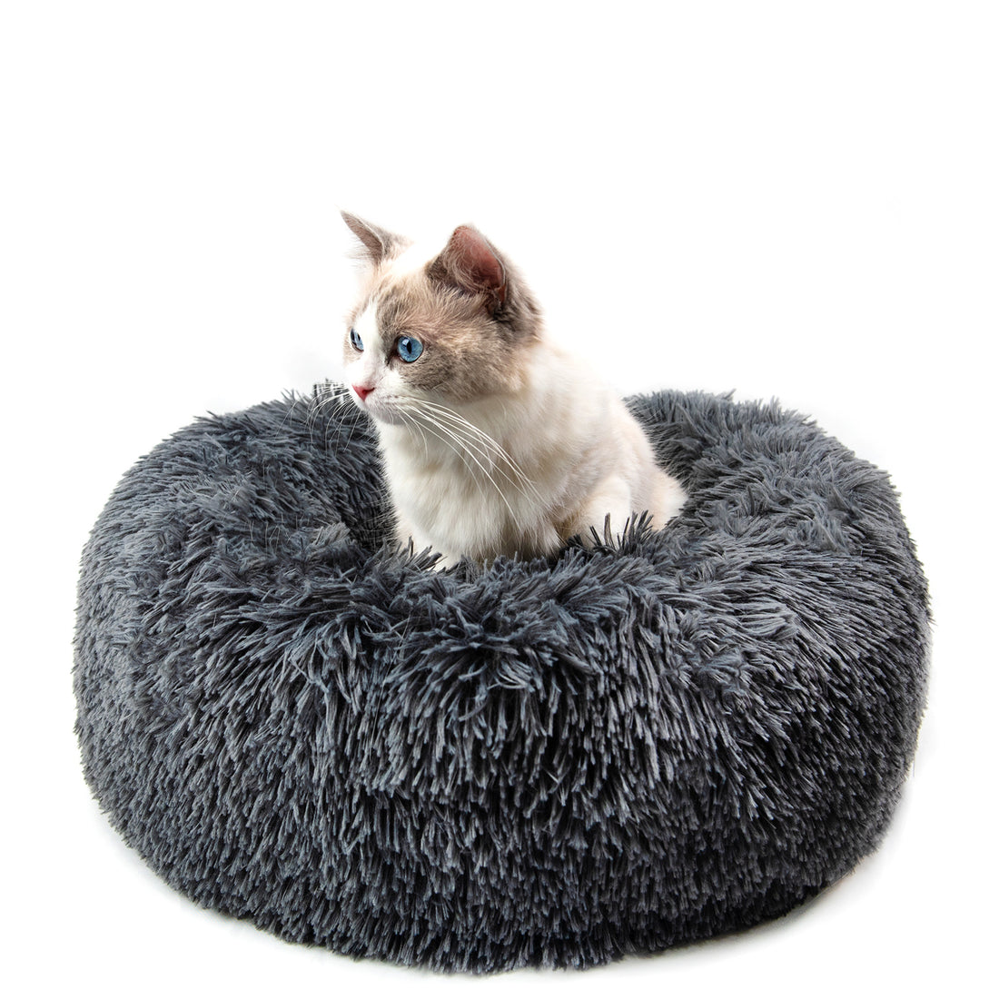 Dog Beds For Small Dogs Round Plush Cat Litter
