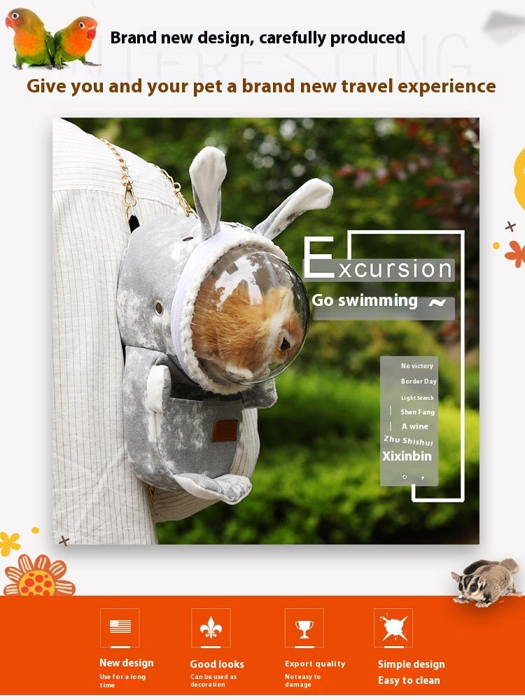 Hamster Guinea Pig Guinea Totoro Rabbit