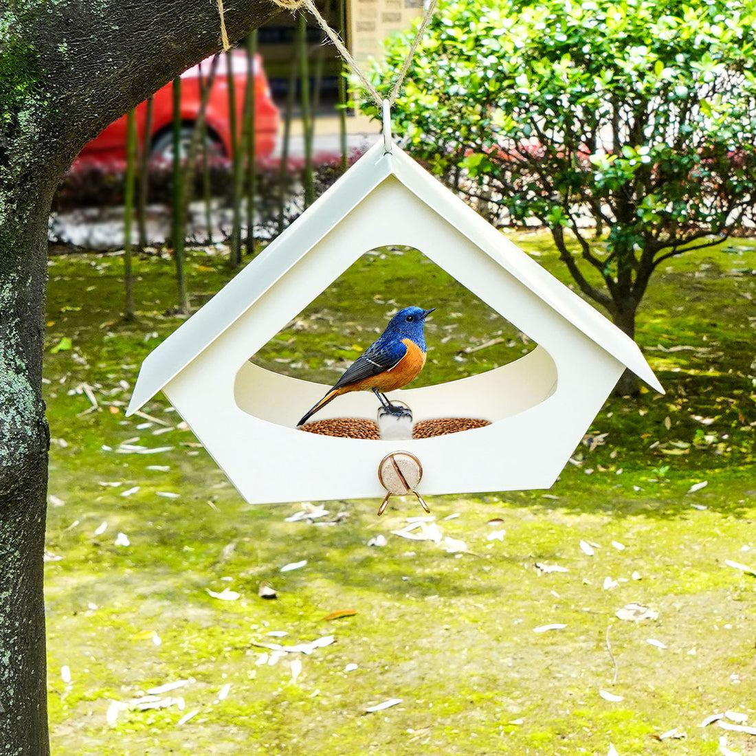 European-style Simple Iron Bird Food