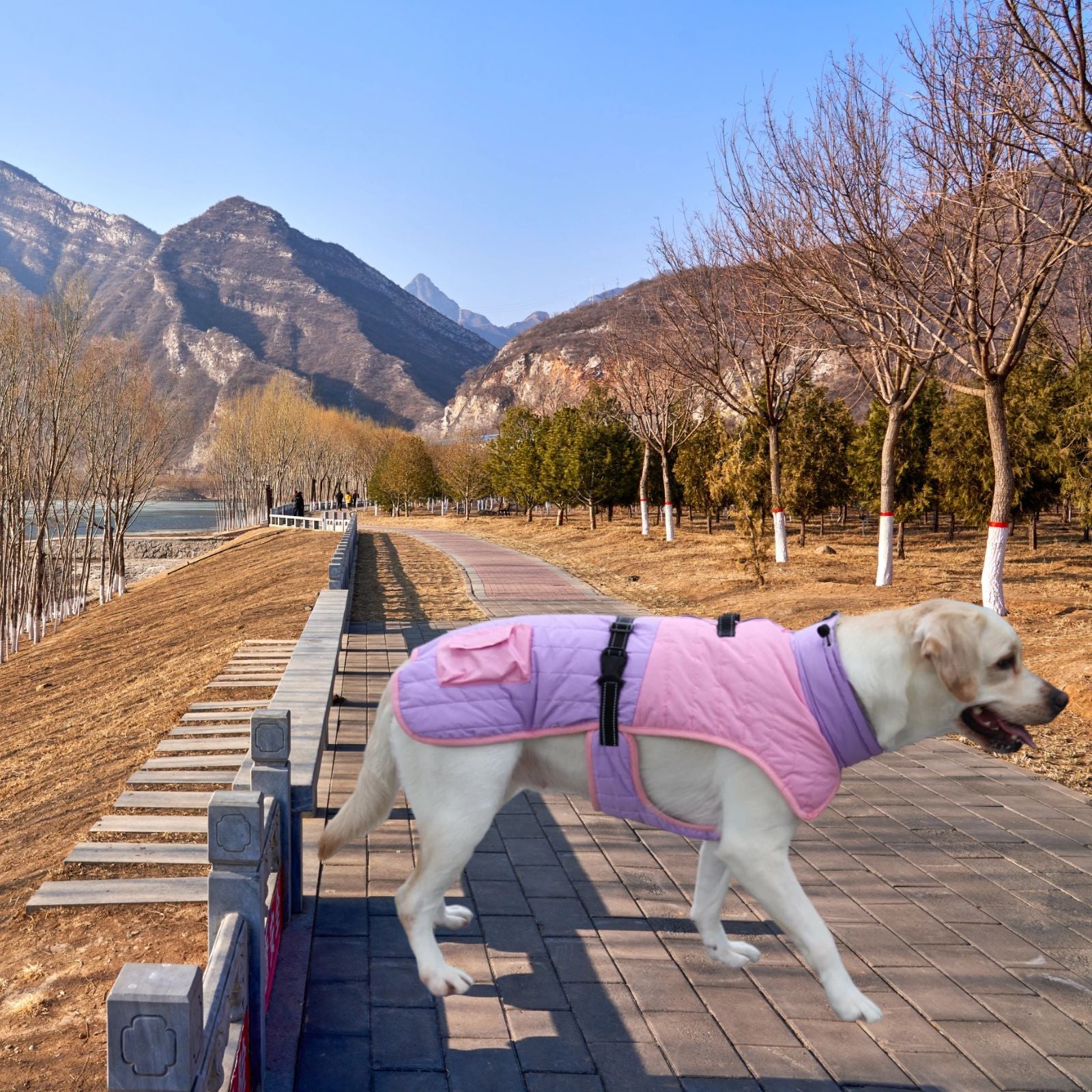 Autumn And Winter Thick Warm Dog Coat