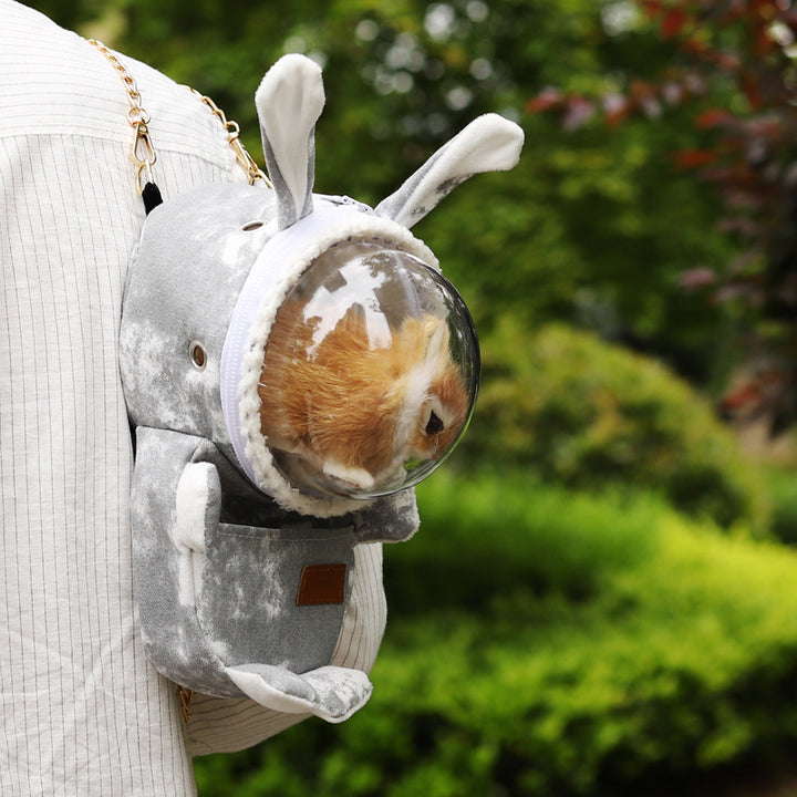 Hamster Guinea Pig Guinea Totoro Rabbit