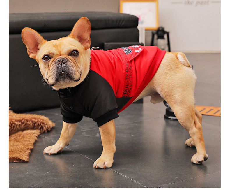 Small Pet Puppies Casual Winter Dog Padded Coat