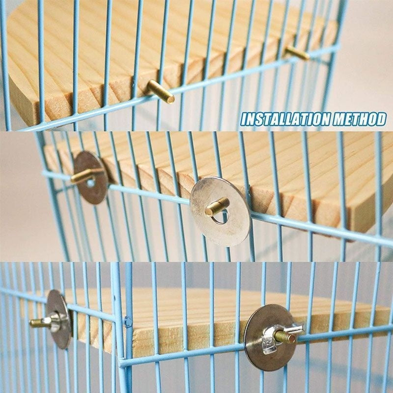 Climbing And Playing Bird Cage