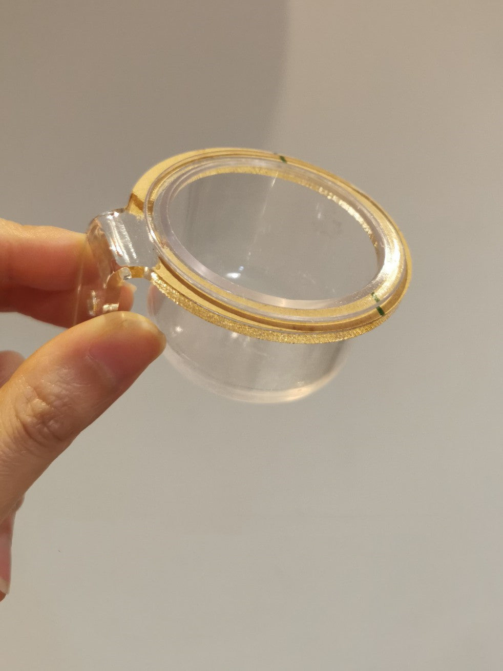 Full Transparent Bird Cage