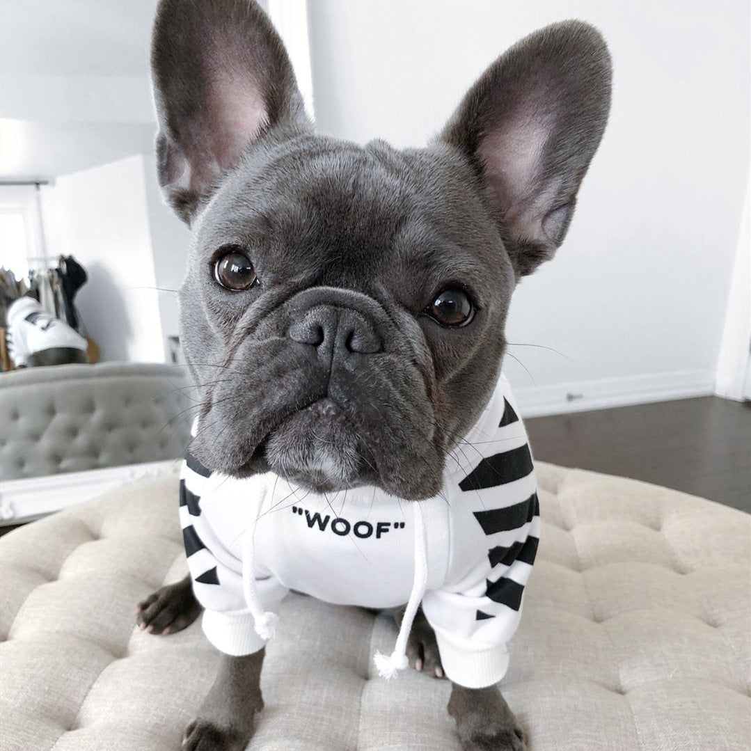 Corgi Schnauzer pet fashion brand three-stripe