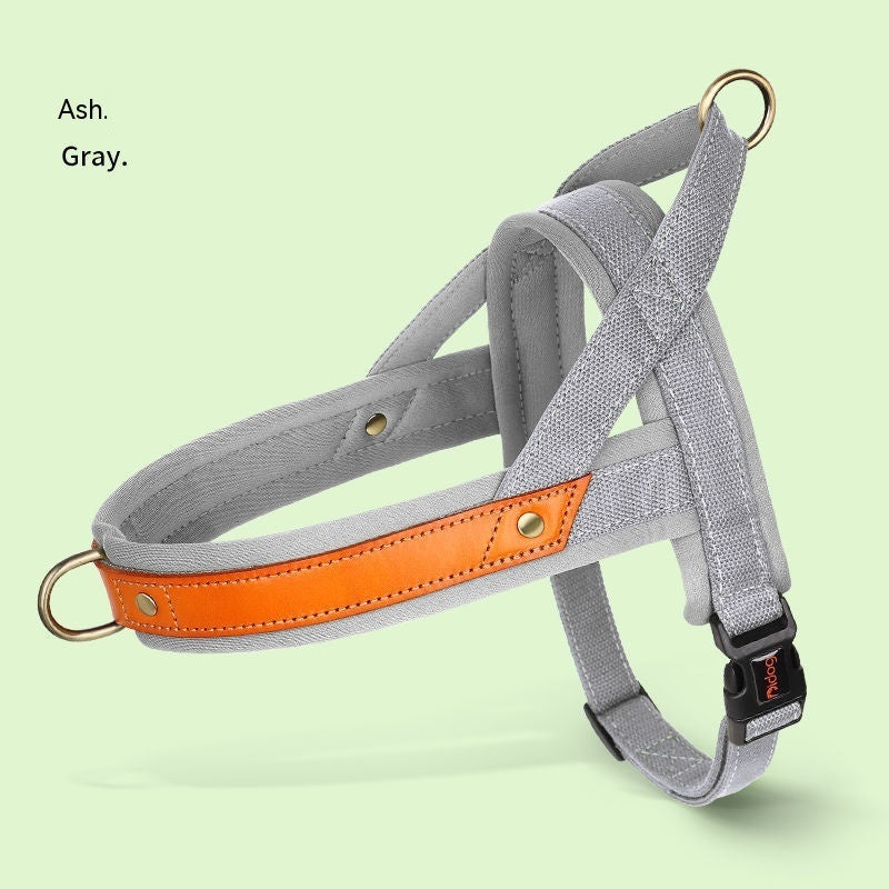 Dog's Straps Dog Breast Collar Hand Holding