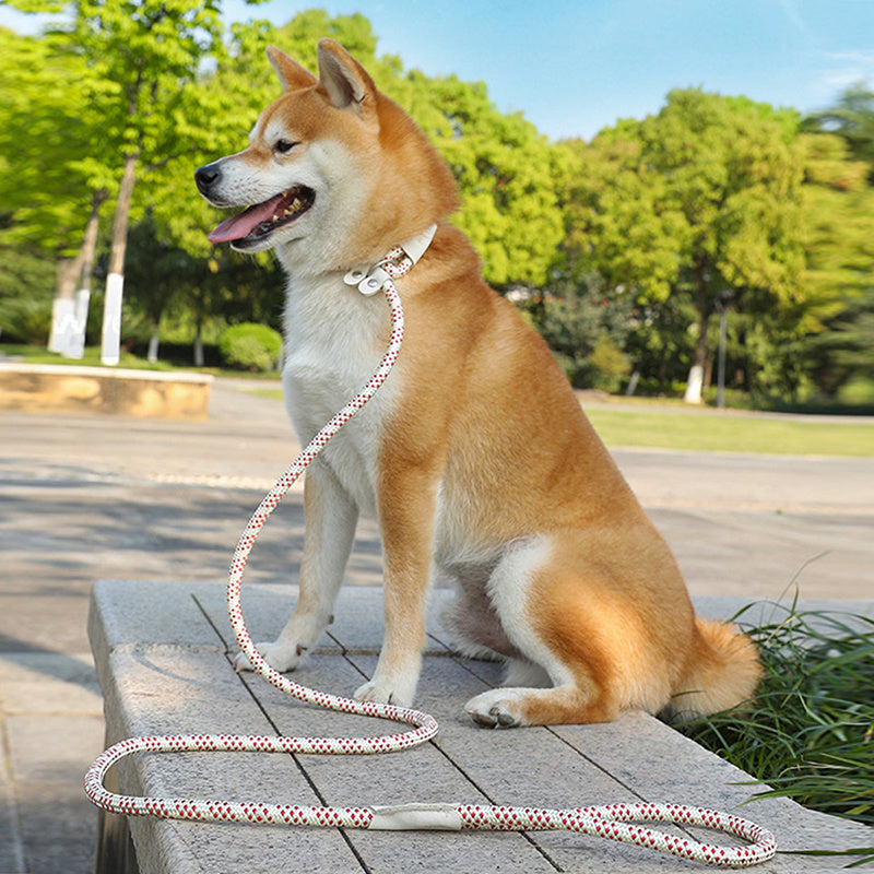 Dog Rope Pet Pulling Rope Puppy Strap Traction