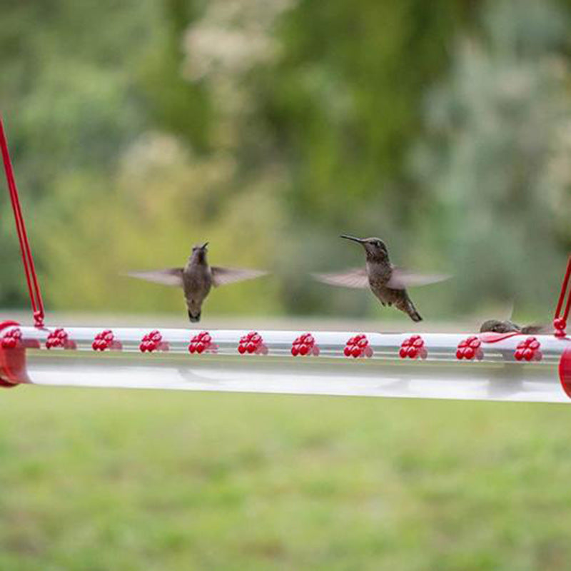 Hanging Red Tube Feeder Flower
