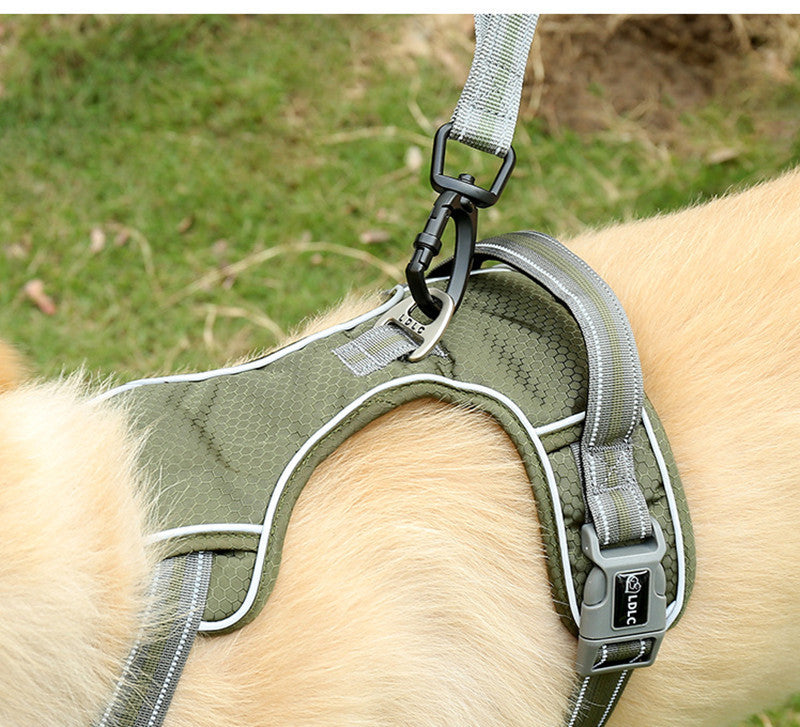 Fluorescent Pet Explosion-proof Punch Elastic