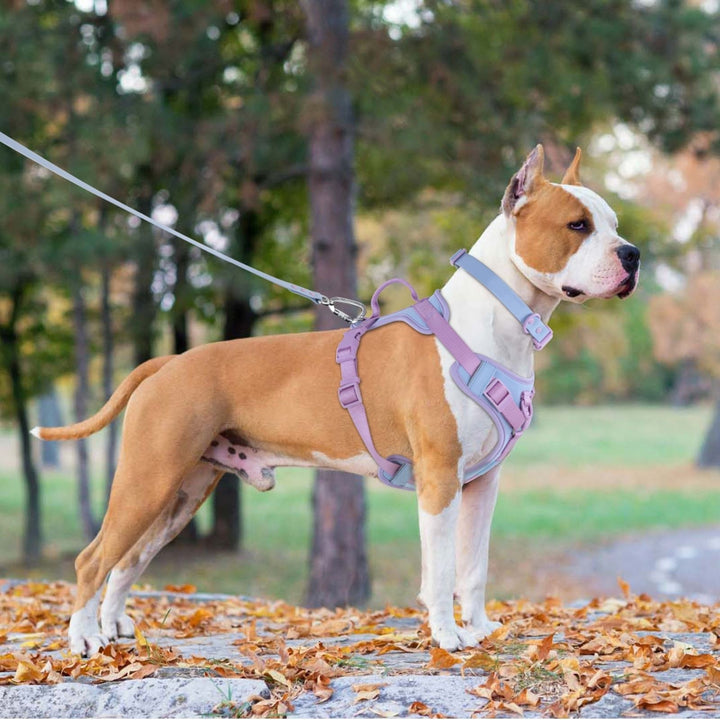 Dog Breast Strap Hand Holding Rope Dog Leash