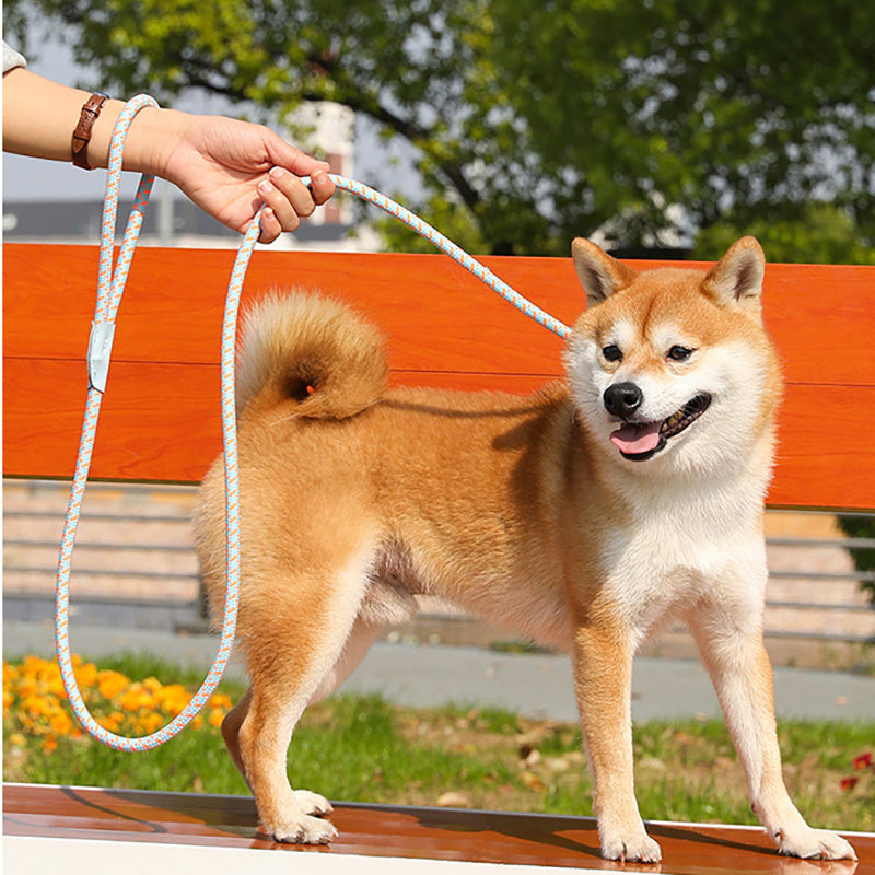 Dog Rope Pet Pulling Rope Puppy Strap Traction