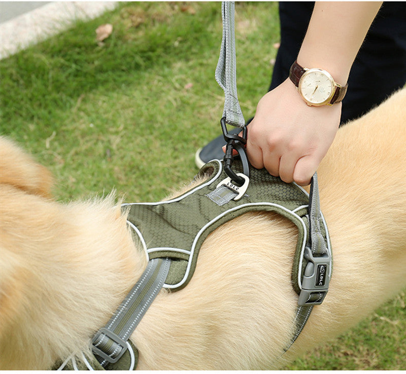Fluorescent Pet Explosion-proof Punch Elastic
