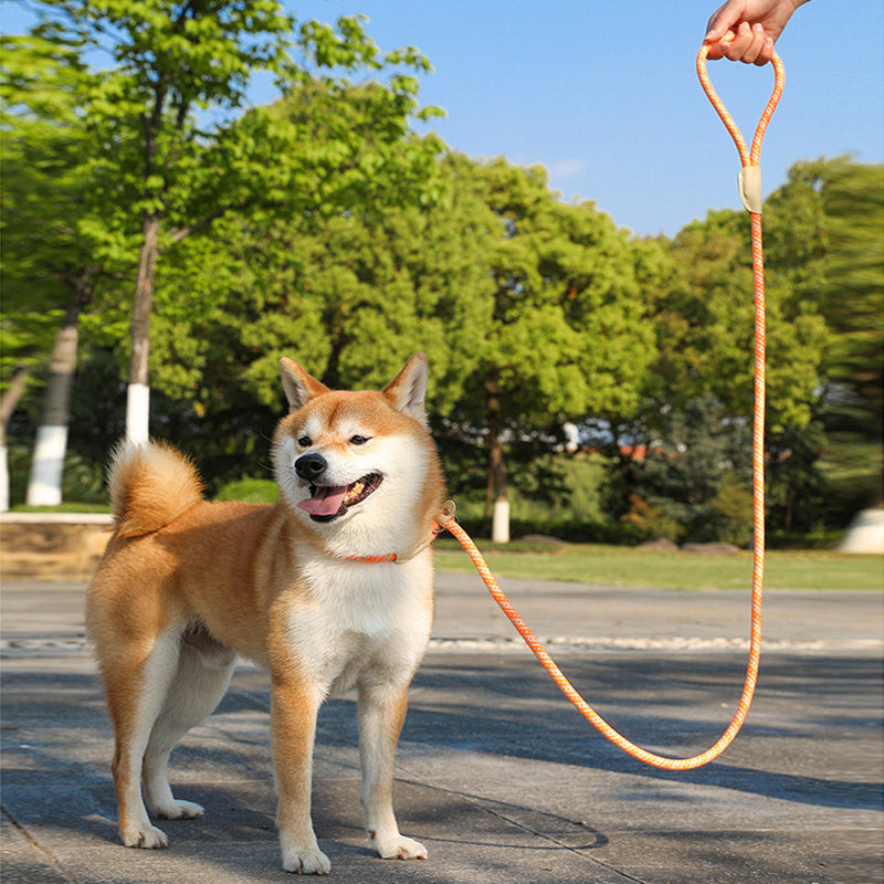 Dog Rope Pet Pulling Rope Puppy Strap Traction