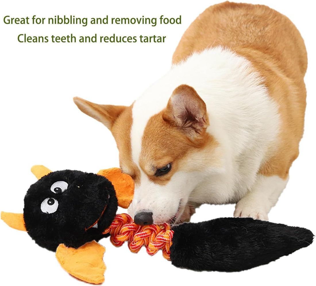 Plush Dog Toys Squeaky Dog Toys Cat Toys