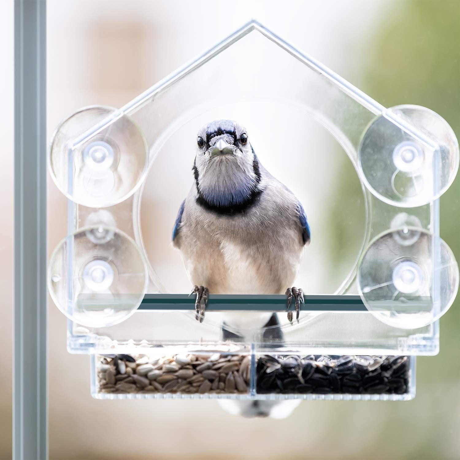 Acrylic Organic Glass Bird Feeder