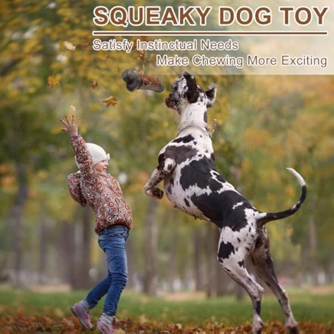 Tough Dog Toys For Aggressive Chewers Large