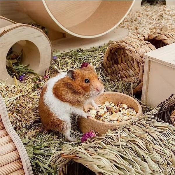 Beech Hamster Food Basin Hamster Supplies