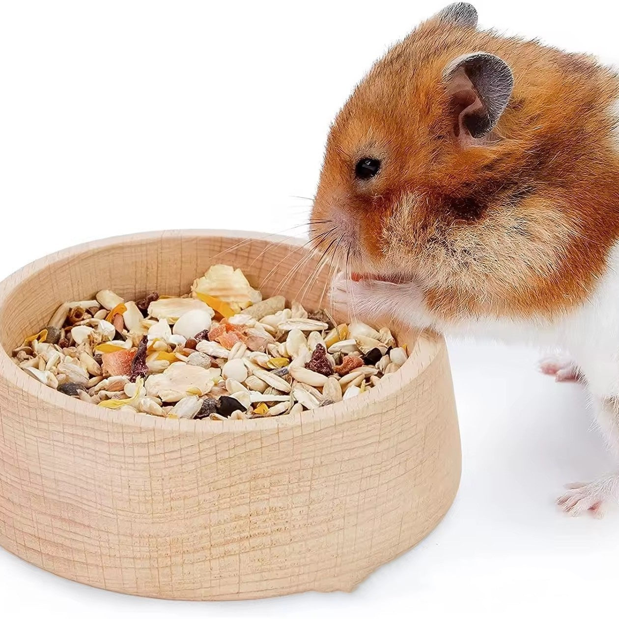 Beech Hamster Food Basin Hamster Supplies