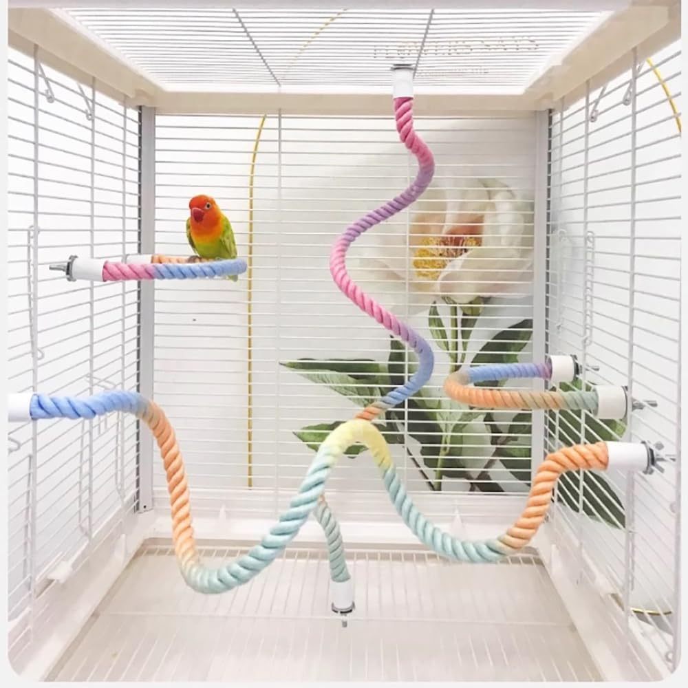 Gradient Colorful Bird Rope Perch