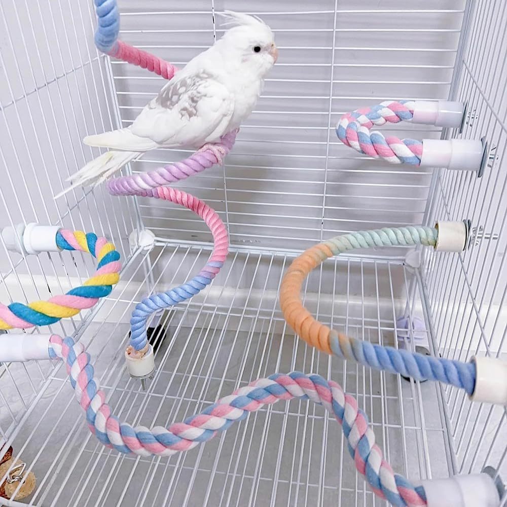 Gradient Colorful Bird Rope Perch