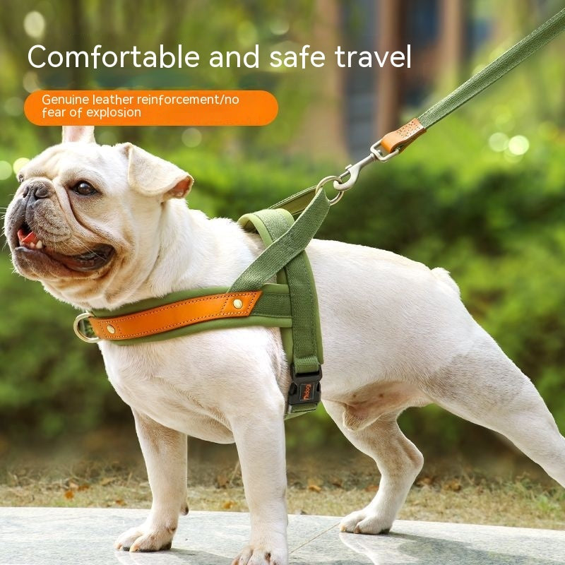 Dog's Straps Dog Breast Collar Hand Holding