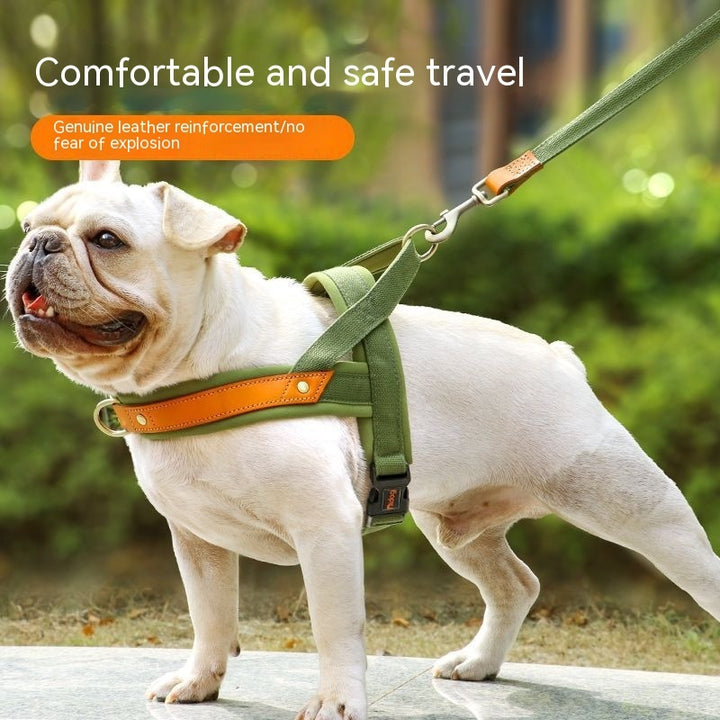 Dog's Straps Dog Breast Collar Hand Holding