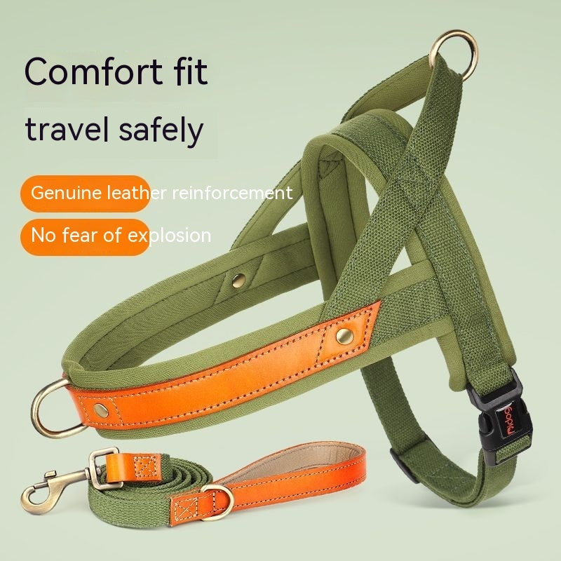 Dog's Straps Dog Breast Collar Hand Holding