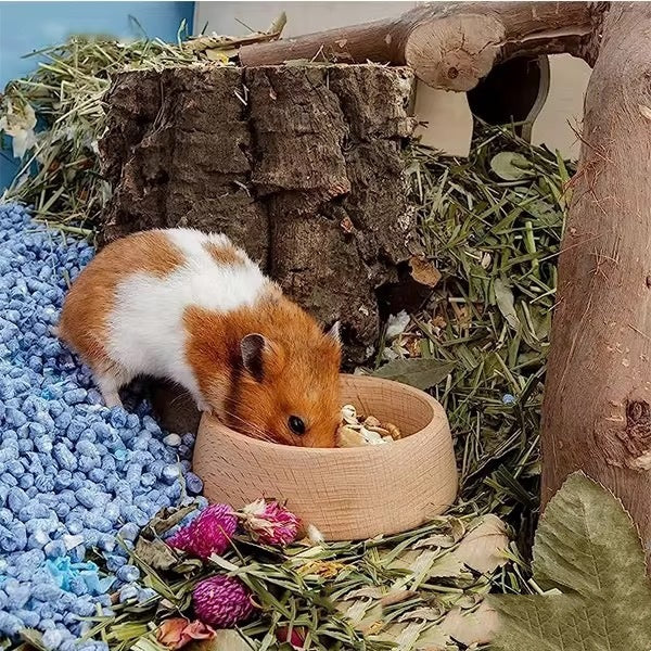 Beech Hamster Food Basin Hamster Supplies