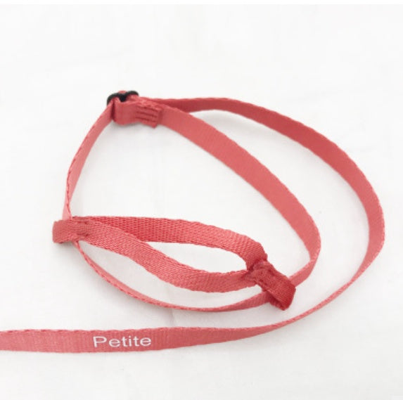 Parrot Flying With Flying Rope