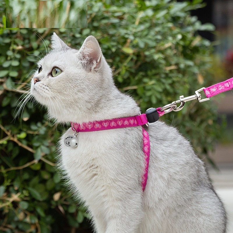 Pet Cat Bell Chest Strap Haulage Rope Package