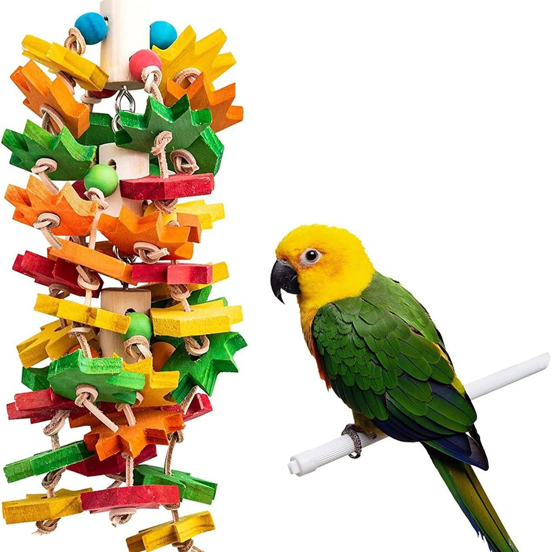 Wooden Color Nibbling Toy