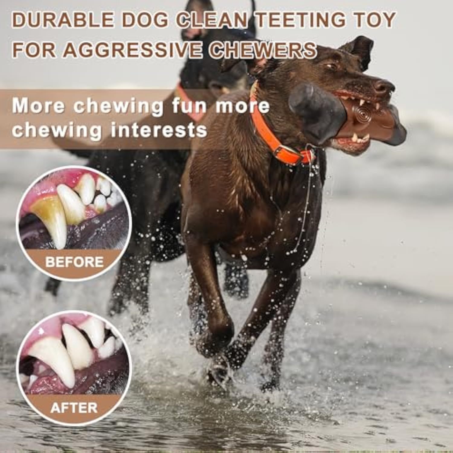 Tough Dog Toys For Aggressive Chewers Large