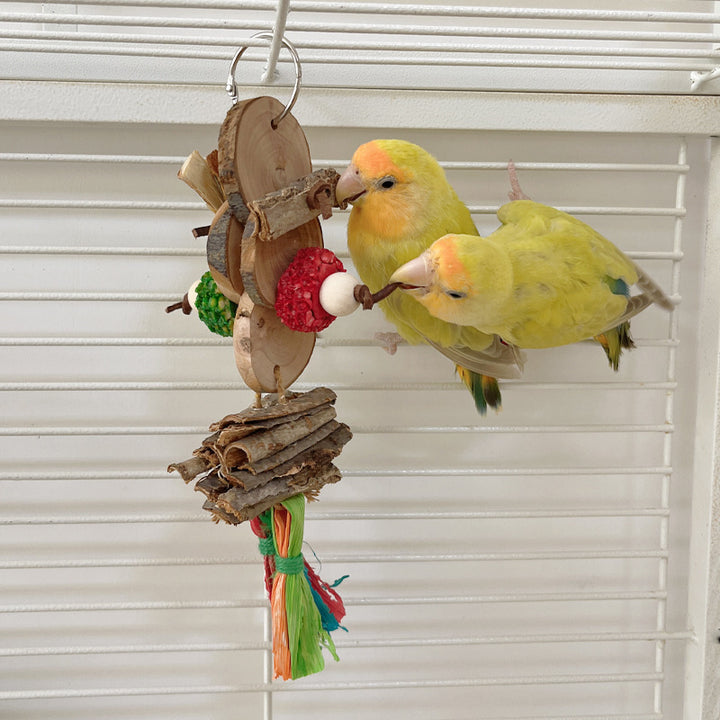 Parrot Bird Bite Toy String