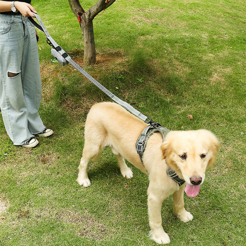 Fluorescent Pet Explosion-proof Punch Elastic
